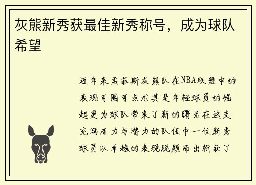灰熊新秀获最佳新秀称号，成为球队希望